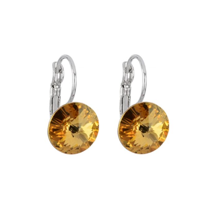 Rudos spalvos auskarai