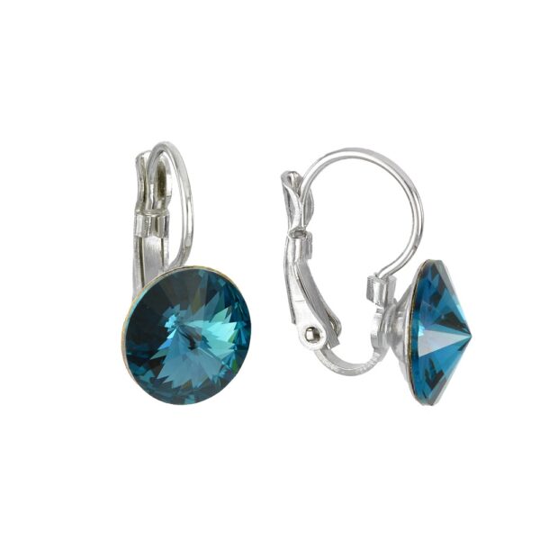 Mėlynos spalvos auskarai