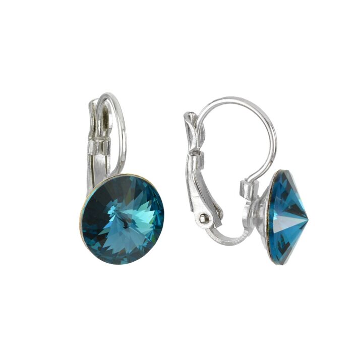 Mėlynos spalvos auskarai