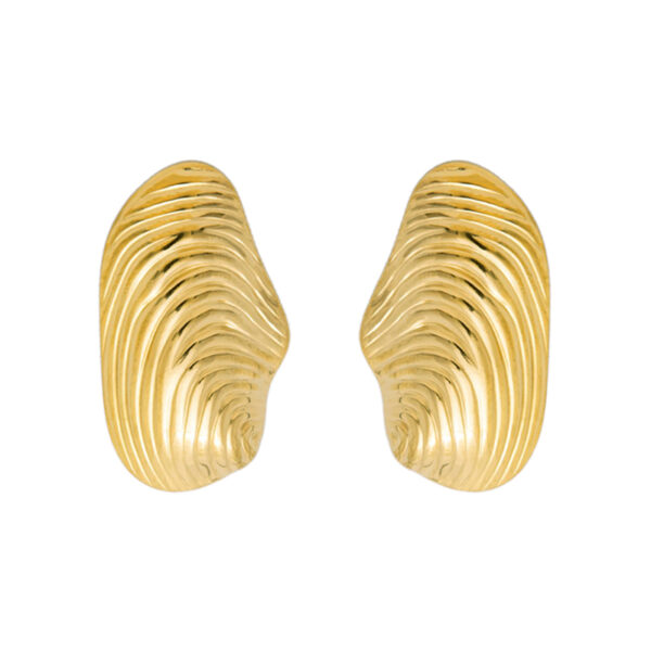 Auskarai "Kriauklės"